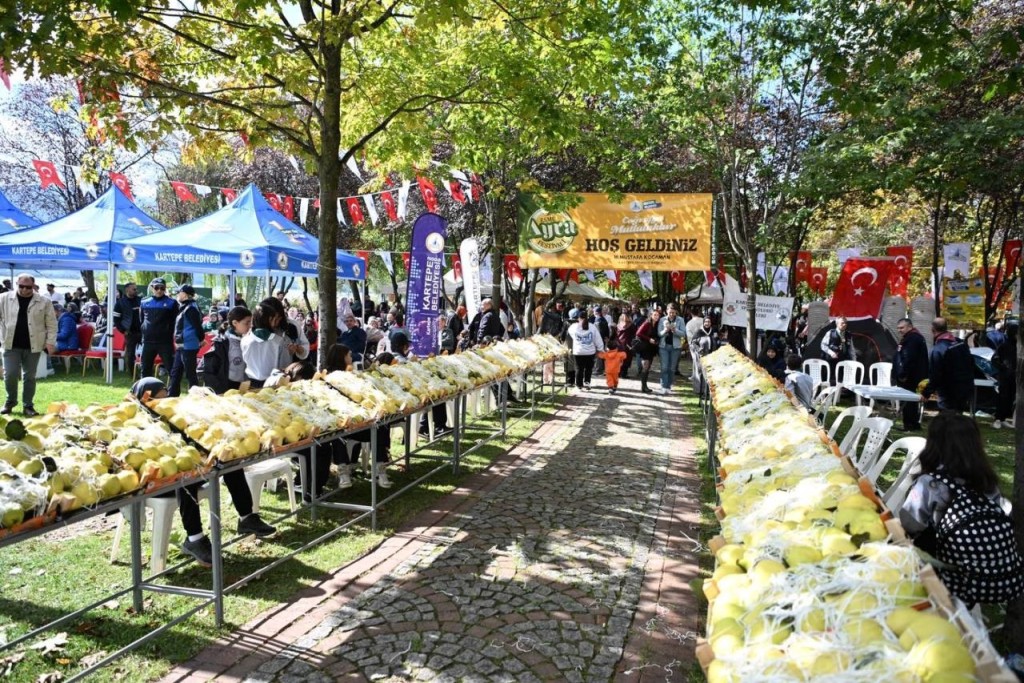 Kocaeli'de festival coşkusu