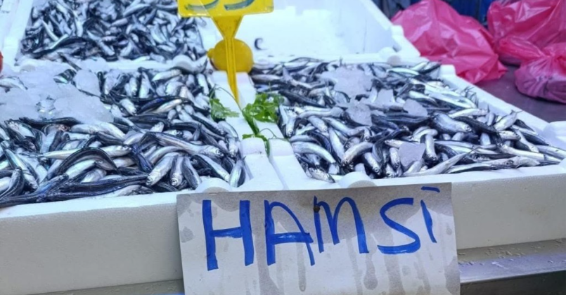 Trabzon’dan fiyat geldi, Kocaeli’den tepki yağdı! 