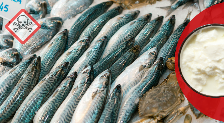 Balıkla yoğurt yenirmiş
