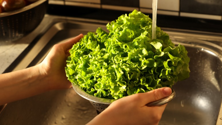 Yeşilliklerdeki tehlikeye dikkat: 10 dakikada kurtulun