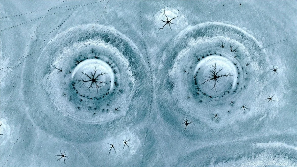 Bu görüntüler olay oldu!