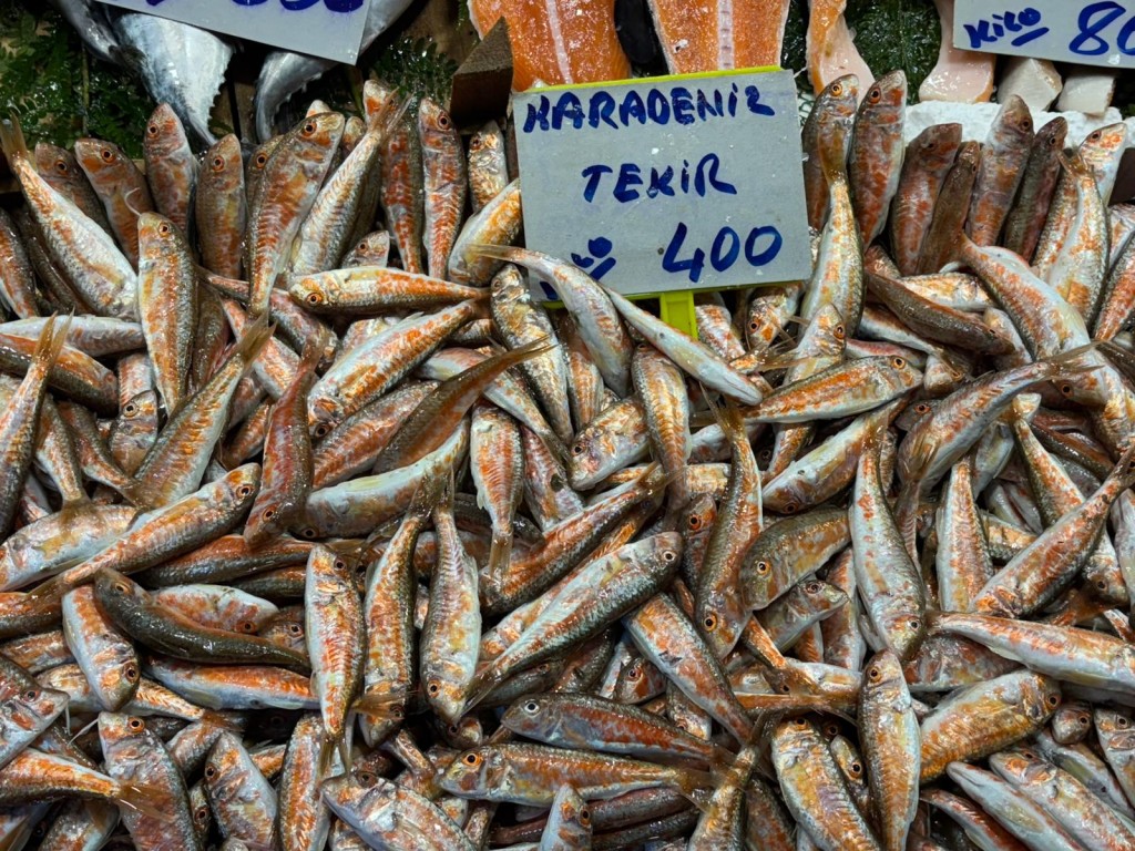 Tezgahlarda torik bol