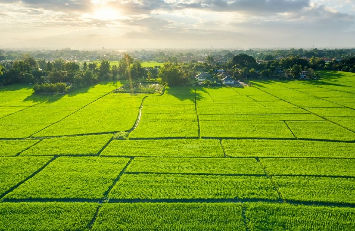 Kocaeli'nin gözde yerinde milyonluk satış!