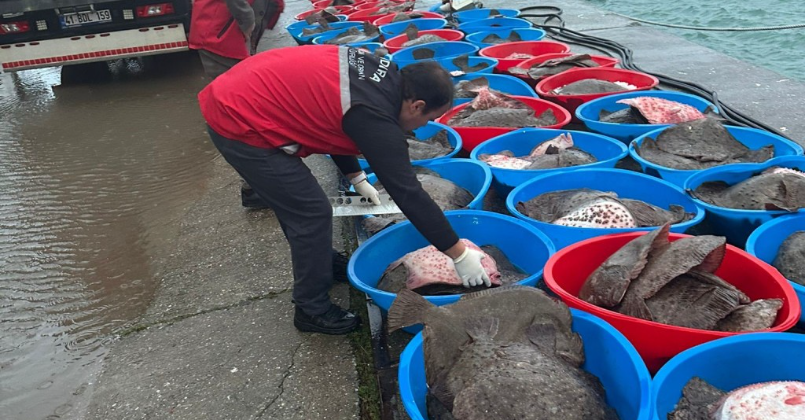 Kandıra’da yasa dışı avcılık durduruldu