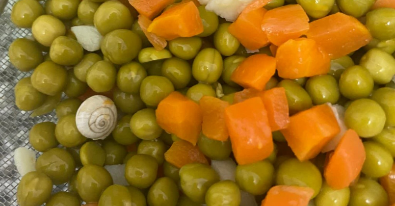 Kocaeli’de bu görüntü konuşulacak!