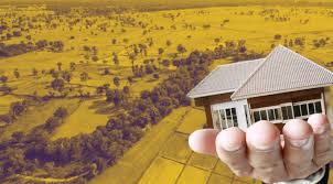 Kocaeli'de hem bina hem arsa satışta!