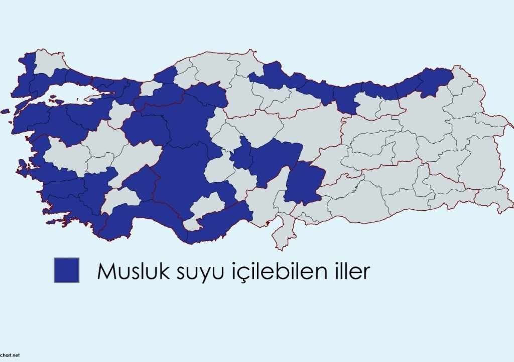 Kocaeli'de bu harita çok konuşulacak!