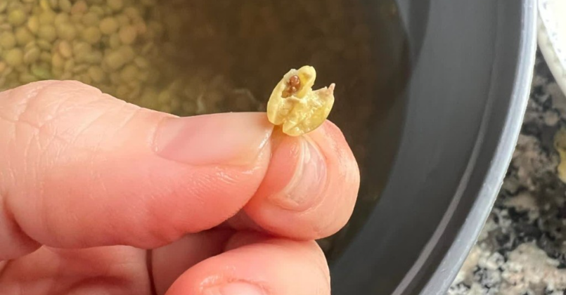 Kocaeli’de marketten alışveriş yapanlar dikkat! 