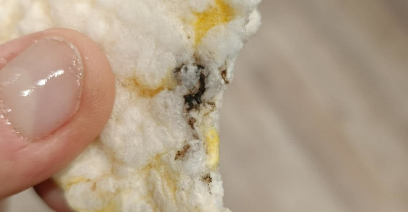 Kocaeli’de bunu kimse beklemiyordu!