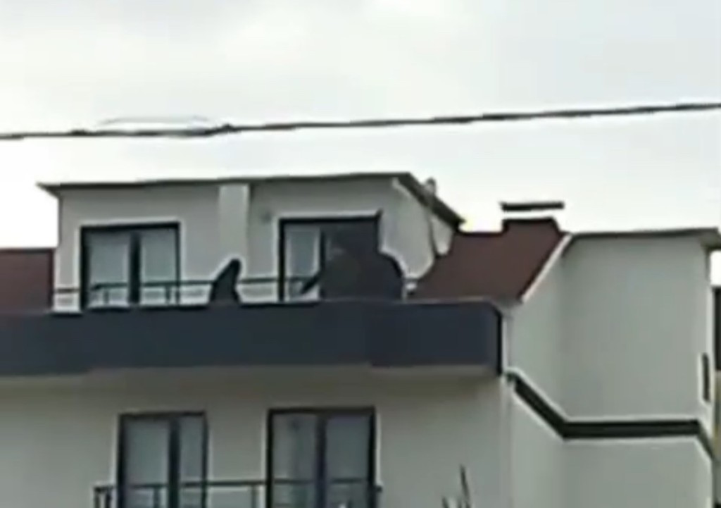 Çatıda saklanıyordu... Kocaeli'de yakalandı!