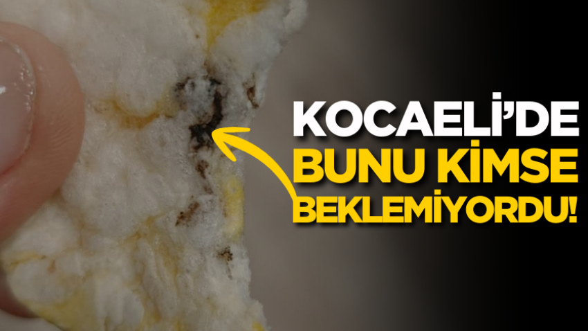 Kocaeli’de bunu kimse beklemiyordu!