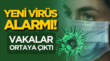 Yeni virüs alarmı! Vakalar ortaya çıktı