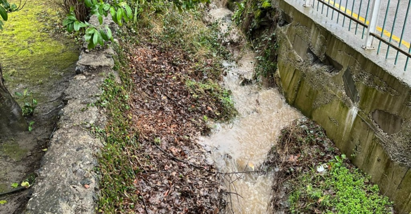 Kocaeli’de bu görüntüler alarm veriyor! 