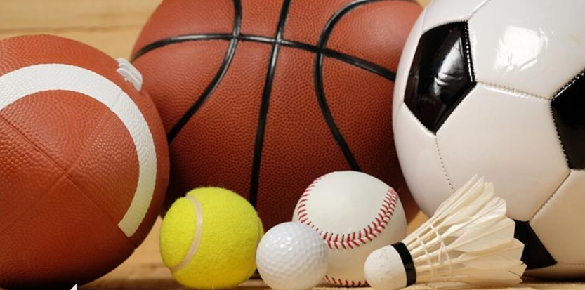 SPOR MALZEMESİ SATIN ALINACAKTIR