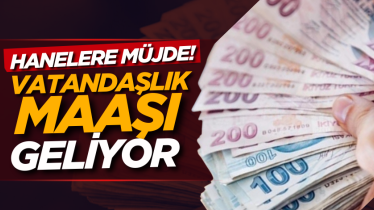 Hanelere müjde! Vatandaşlık maaşı geliyor