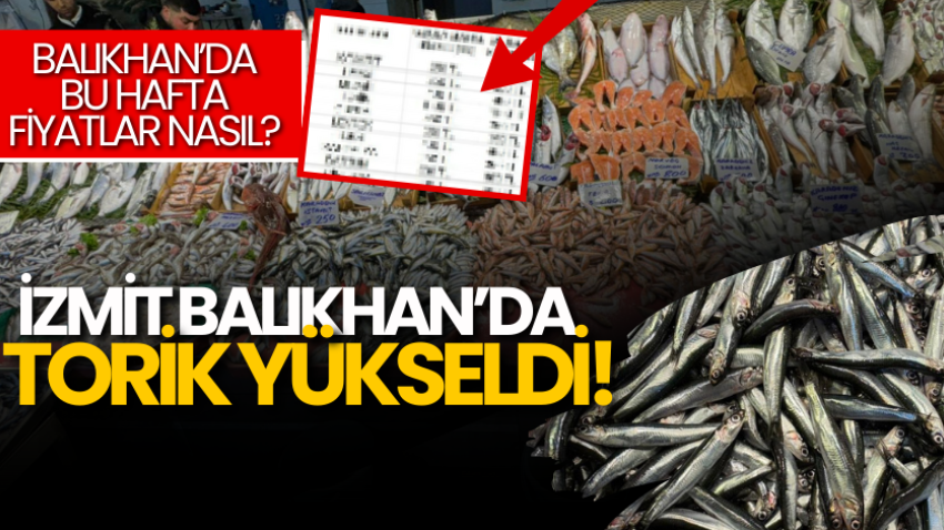 İzmit Balıkhan’da torik yükseldi! 