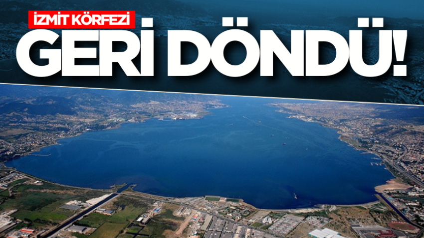 İzmit Körfezi geri döndü! 