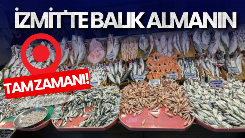 İzmit'te balık almanın tam zamanı!