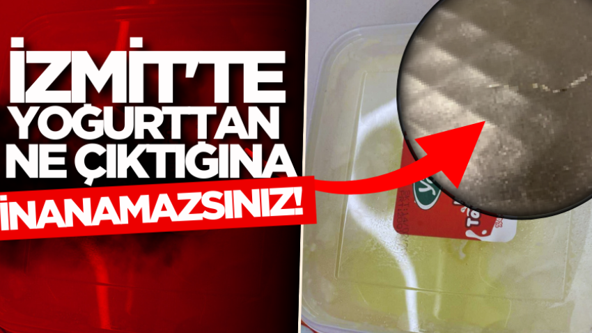İzmit'te yoğurttan ne çıktığına inanamazsınız! 