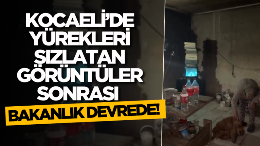 Kocaeli’de yürekleri sızlatan görüntüler sonrası bakanlık devrede!