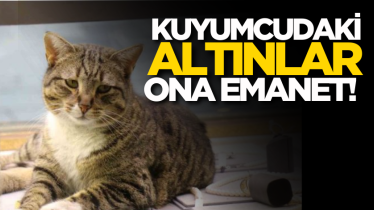 Kuyumcudaki altınlar ona emanet!