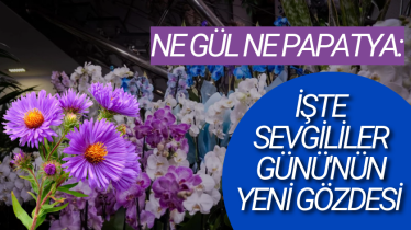 Ne gül ne papatya: İşte Sevgililer Günü'nün yeni gözdesi 