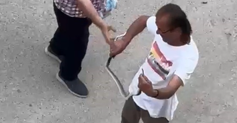 Yılanı eliyle yakaladı