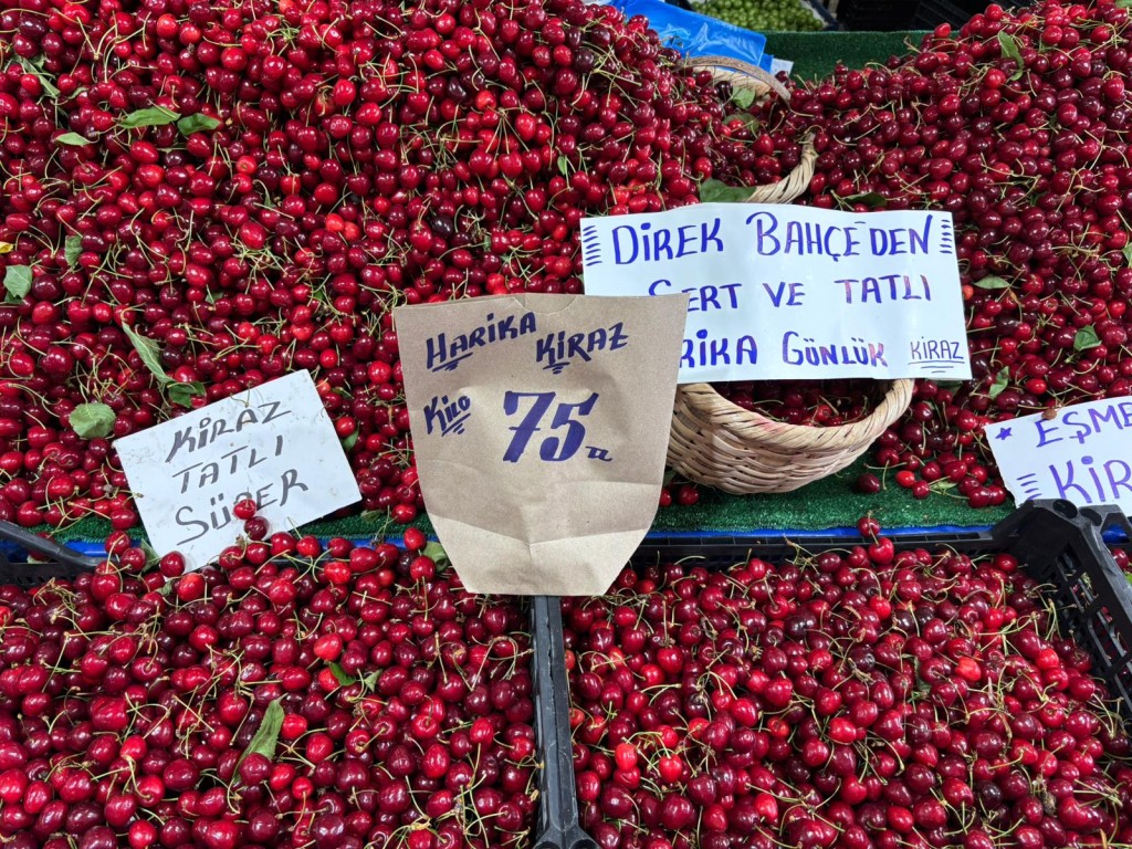 İzmit’te kiraz almanın tam zamanı! İşte yeni fiyatı