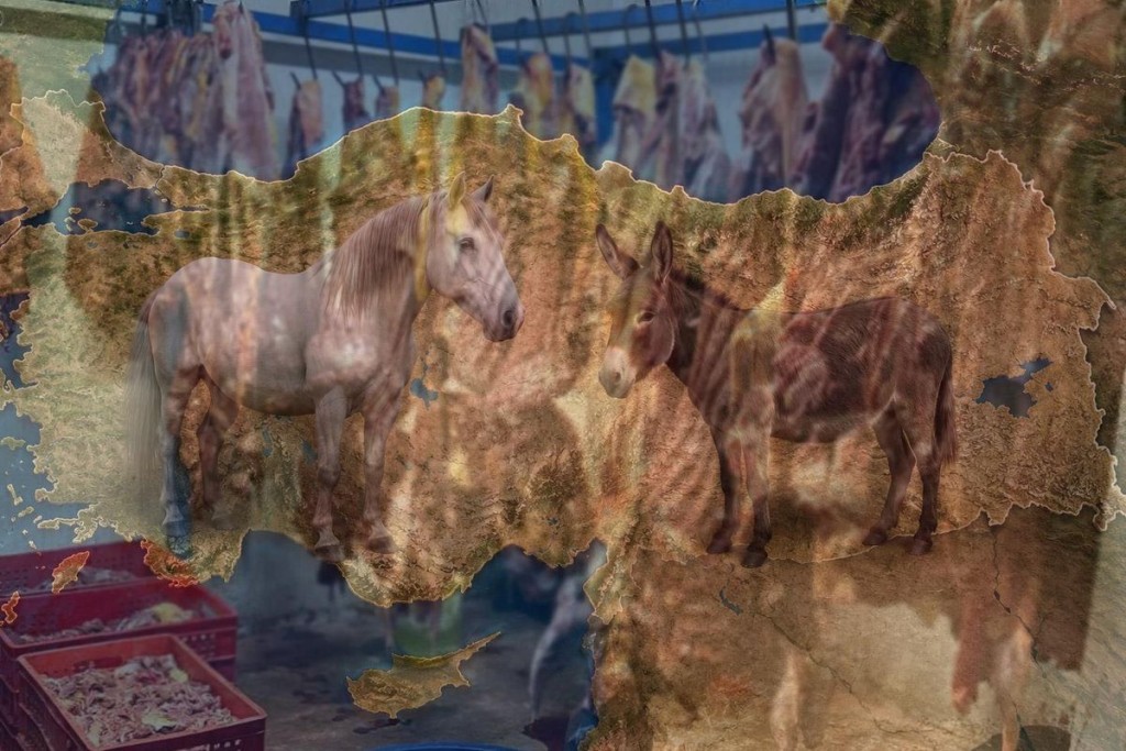 Vatandaşa at ve eşek eti yedirmişler! İşte ifşa edilen o markalar