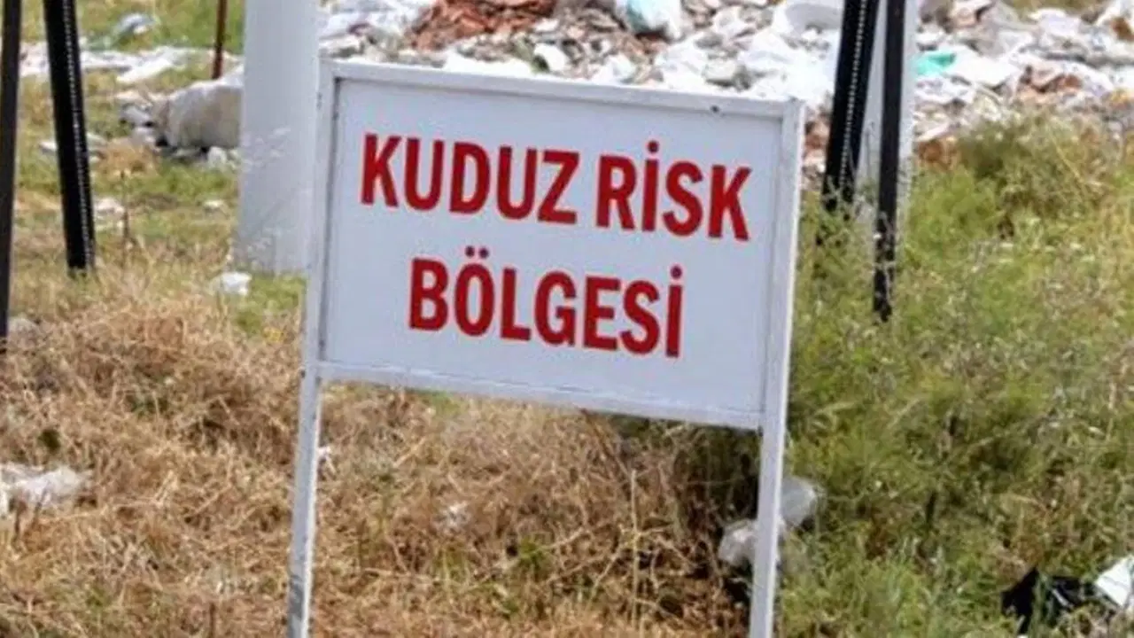 Kuduz alarmı: 7 mahalle karantinaya alındı!