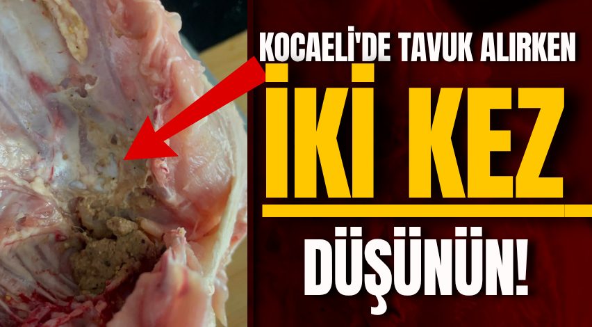 Kocaeli'de tavuk alırken iki kez düşünün!