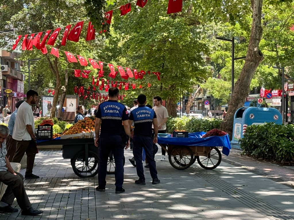 İzmit’te her an karşınıza çıkabilirler!