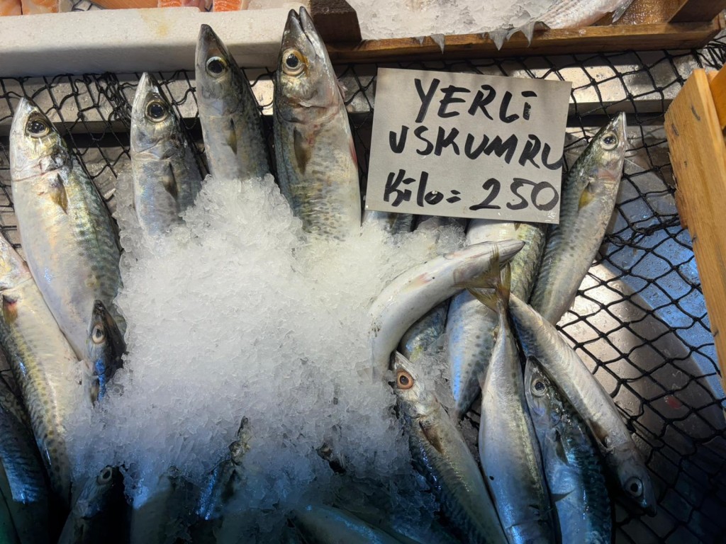 İzmit'te sıcaklar balık tezgahlarını da vurdu!