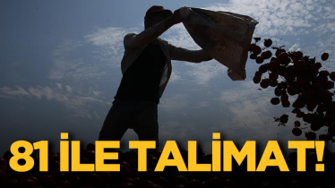81 ile talimat!