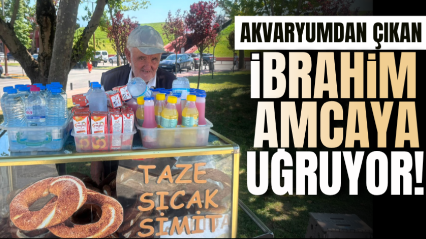 Akvaryumdan çıkan İbrahim amcaya uğruyor!