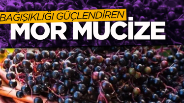 Bağışıklığı güçlendiren mor mucize