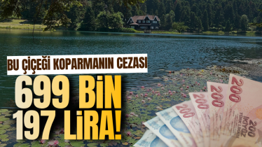 Bu çiçeği koparmanın cezası 699 bin 197 lira!