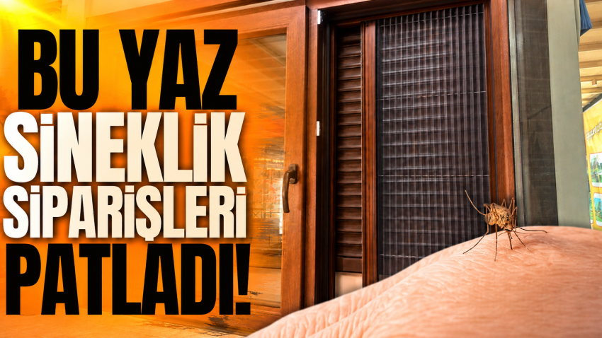 Bu yaz sineklik siparişleri patladı!