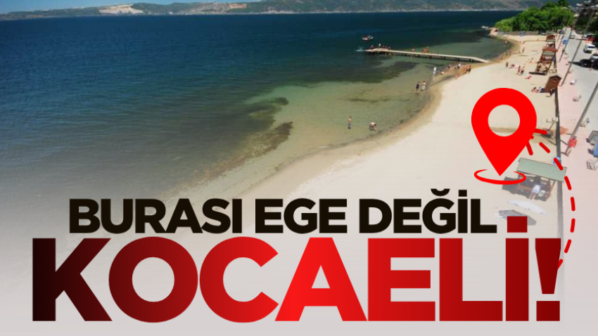 Burası Ege değil Kocaeli! 