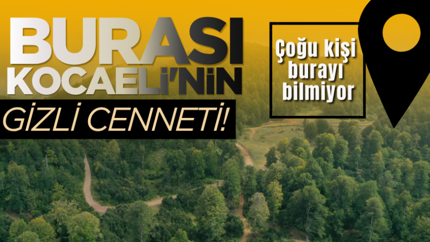 Burası Kocaeli'nin gizli cenneti! Çoğu kişi burayı bilmiyor 
