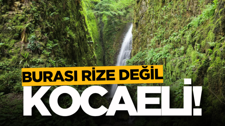 Burası Rize değil Kocaeli! 
