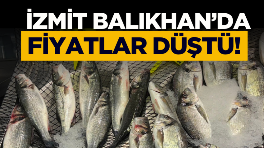 İzmit Balıkhan’da fiyatlar düştü!