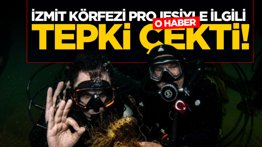 İzmit Körfezi projesiyle ilgili o haber tepki çekti! 