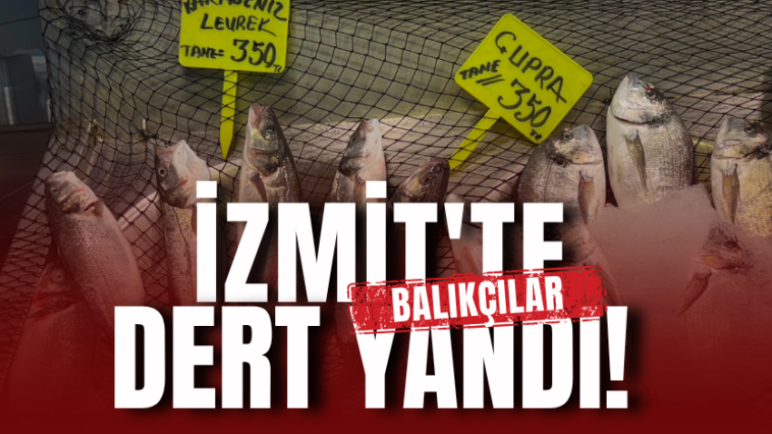 İzmit'te balıkçılar dert yandı!