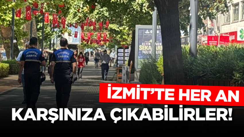 İzmit’te her an karşınıza çıkabilirler!