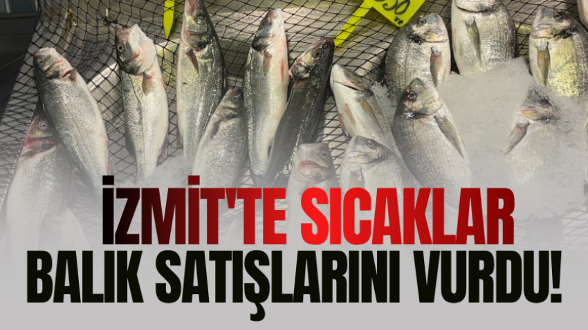 İzmit'te sıcaklar balık satışlarını vurdu!