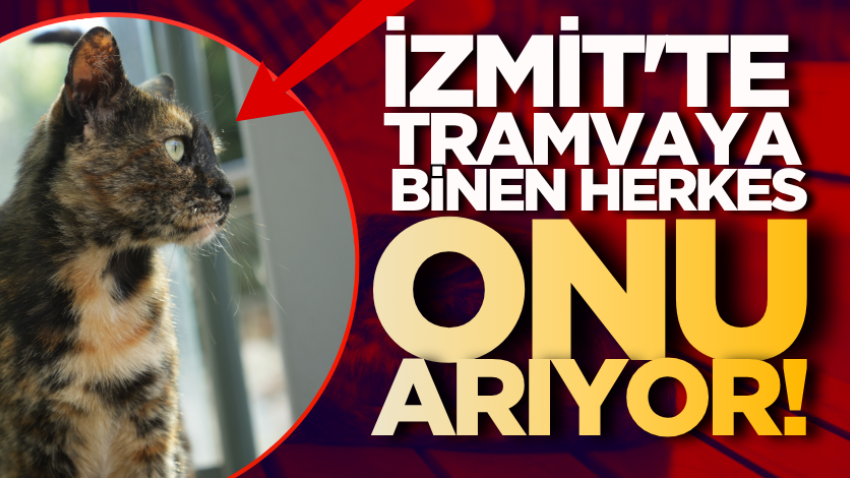 İzmit'te tramvaya binen herkes onu arıyor!
