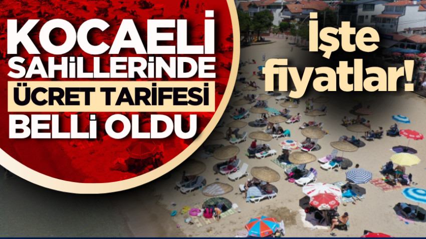 Kocaeli sahillerinde ücret tarifesi belli oldu: İşte fiyatlar! 
