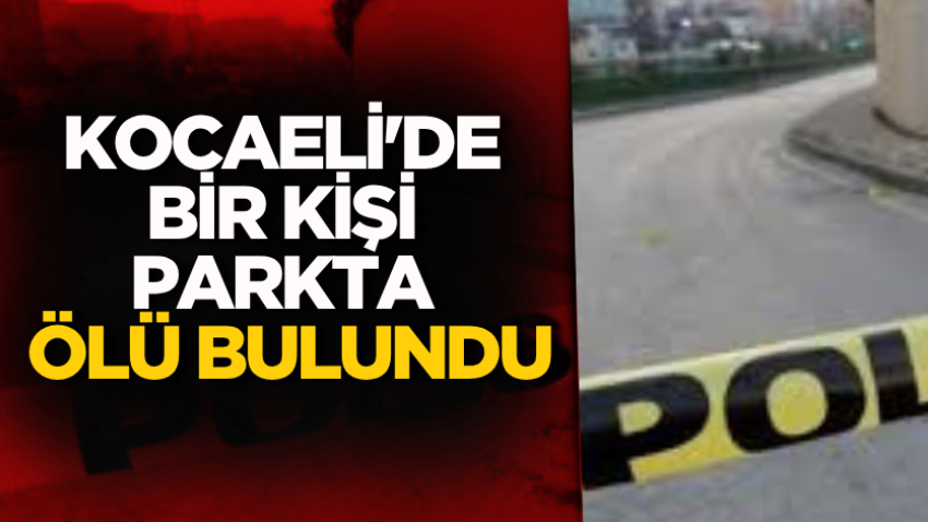 Kocaeli'de bir kişi parkta ölü bulundu