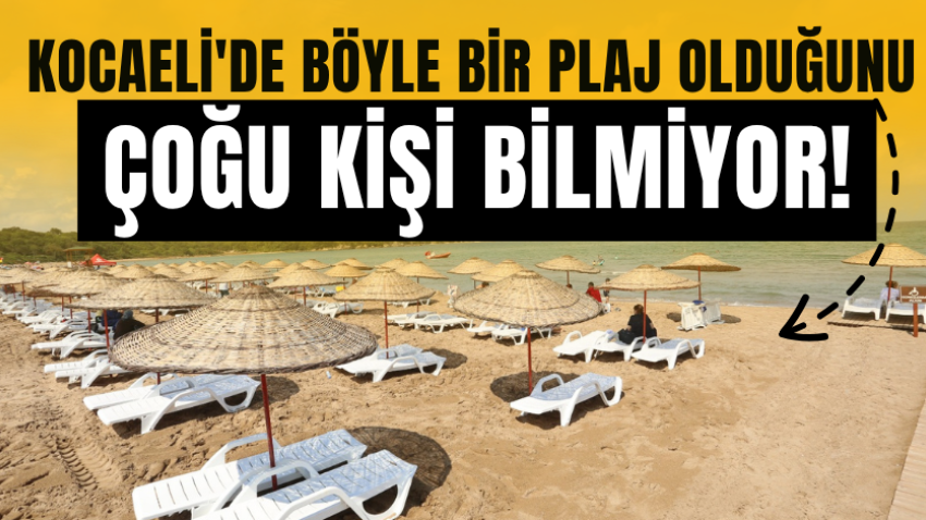 Kocaeli'de böyle bir plaj olduğunu çoğu kişi bilmiyor! 